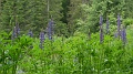 2024-06-04_10h-23m_135