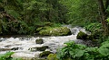 2024-06-04_11h-44m_149