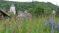 2024-06-04_14h-21m_166