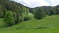2024-06-04_15h-15m_171