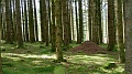 2024-06-06_10h-06m_270