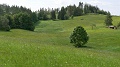 2024-06-06_10h-19m_272
