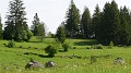 2024-06-06_10h-36m_273