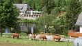 2024-06-06_11h-07m_279