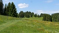 2024-06-06_12h-05m_284