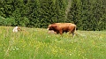 2024-06-06_12h-08m_288
