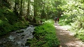 2024-06-06_15h-48m_308