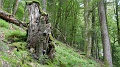2024-06-07_11h-55m_336