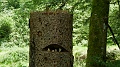 2024-06-07_12h-16m_338