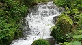 2024-06-07_12h-26m_339