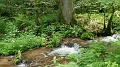 2024-06-07_12h-31m_340