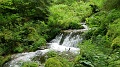2024-06-07_12h-37m_345