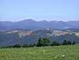 image_038.JPG