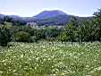 image_040.JPG
