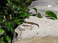 2012-05-04_12h-33m-54s_327