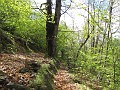 2012-05-05_11h-29m-36s_379
