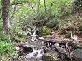 2012-05-05_11h-36m-03s_384