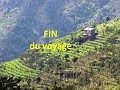 Fin