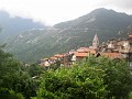 IMG_3318