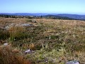 14_09_03_015