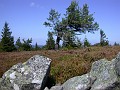 14_09_03_060