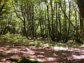 14_09_03_064