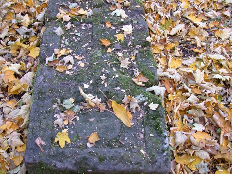 DSCN6177.JPG - Ermitage : reste de chapelle et pierre tombale d'un ermite (1721)