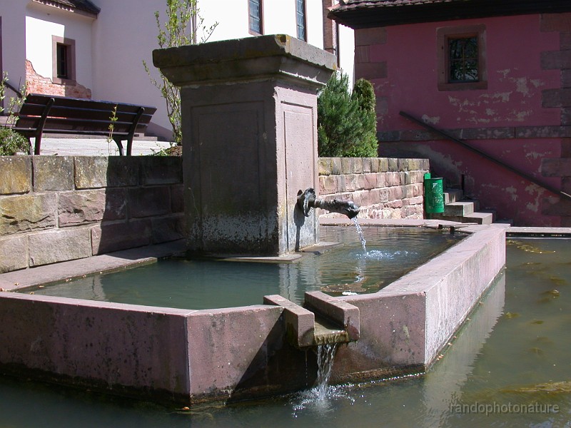 DSCN4491.JPG - Fontaine à Birkenwald