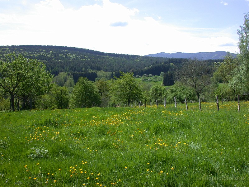 DSCN4496.JPG - Douces collines