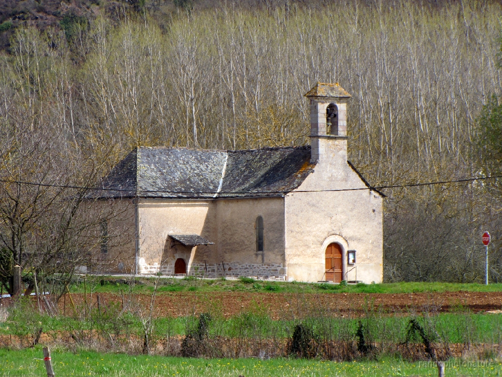 2016-04-03_13h.36m.45s_00037.JPG - Monteils : Notre Dame de Pitié