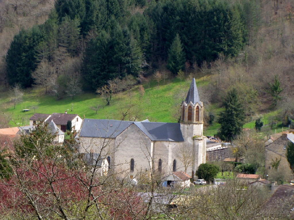 2016-04-03_13h.49m.55s_00041.JPG - Eglise de Monteils