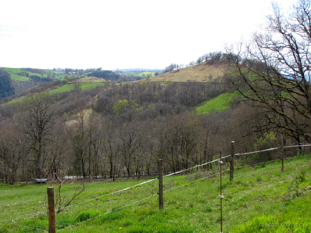 2016-04-03_14h.38m.10s_00045.JPG - Vers le Puech de Miremont
