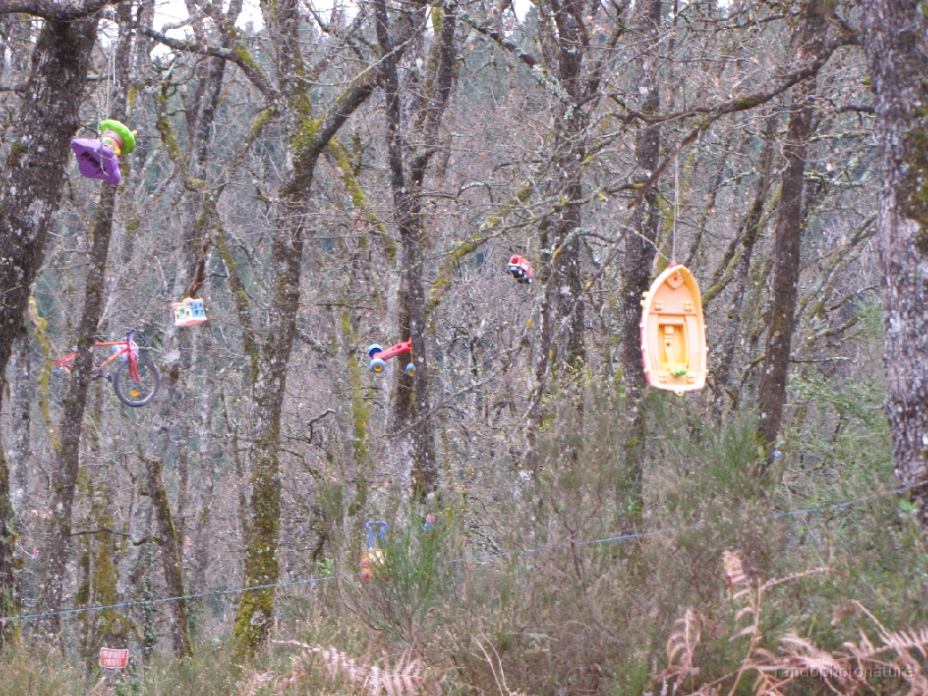2016-04-04_09h.51m.40s_00090.JPG - Forêt enchantée