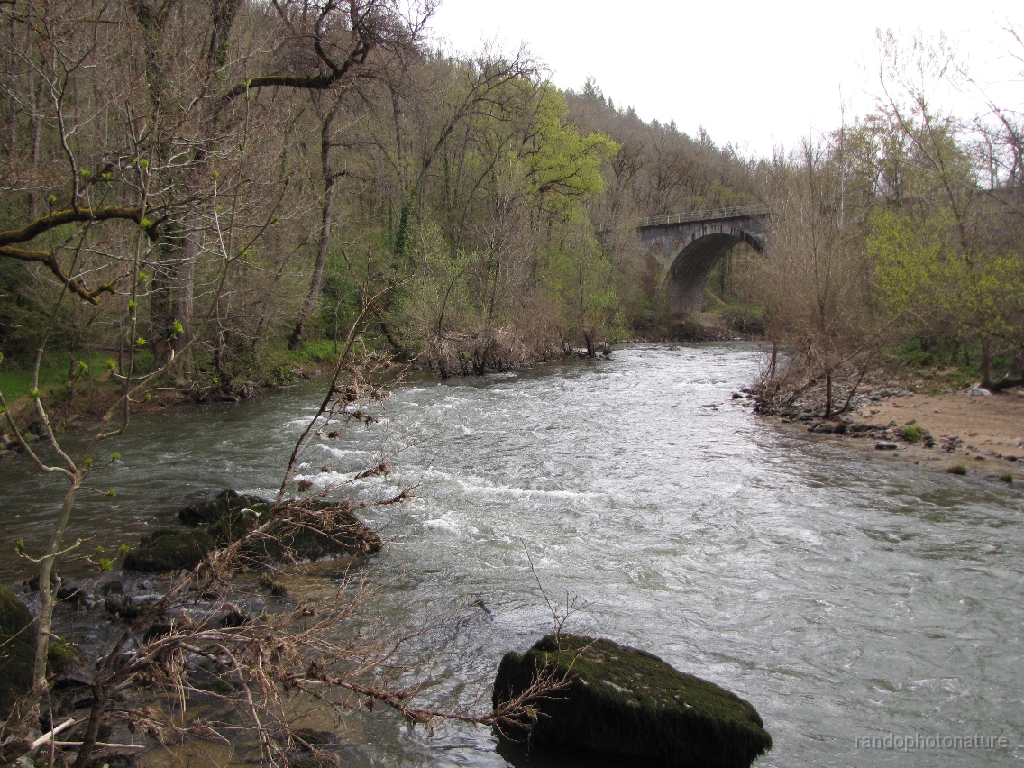 2016-04-04_10h.57m.30s_00094.JPG - Après Mergieux, retour sur les rives de l'Aveyron