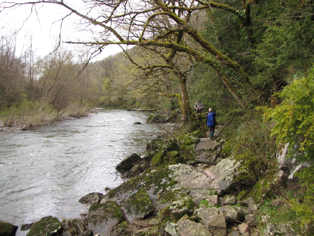 2016-04-04_10h.57m.38s_00095.JPG - Passage délicat