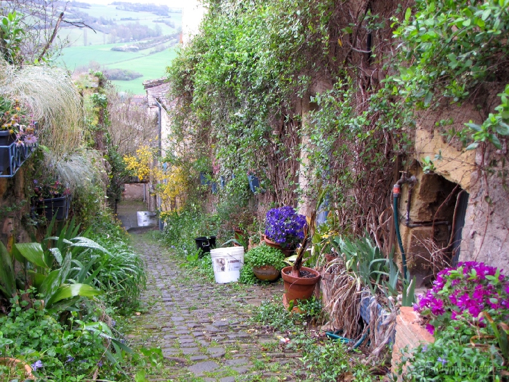 2016-04-05_08h.28m.19s_00124.JPG - Ruelle fleurie