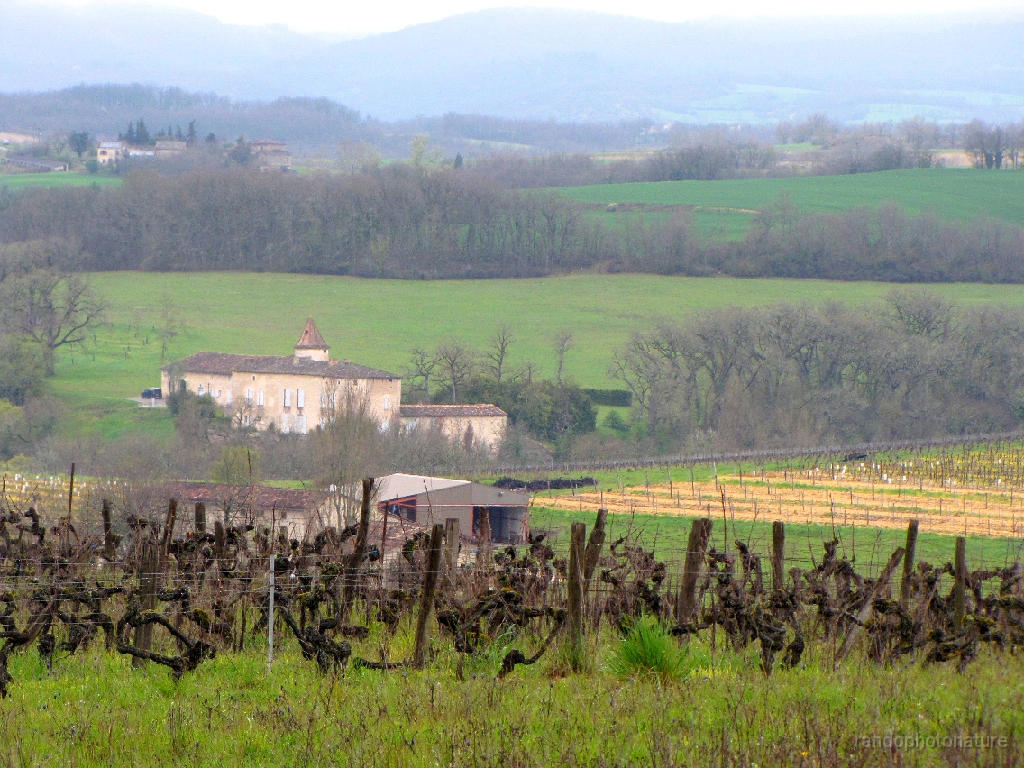 2016-04-05_12h.48m.59s_00154.JPG - Début du vignoble de Gaillac