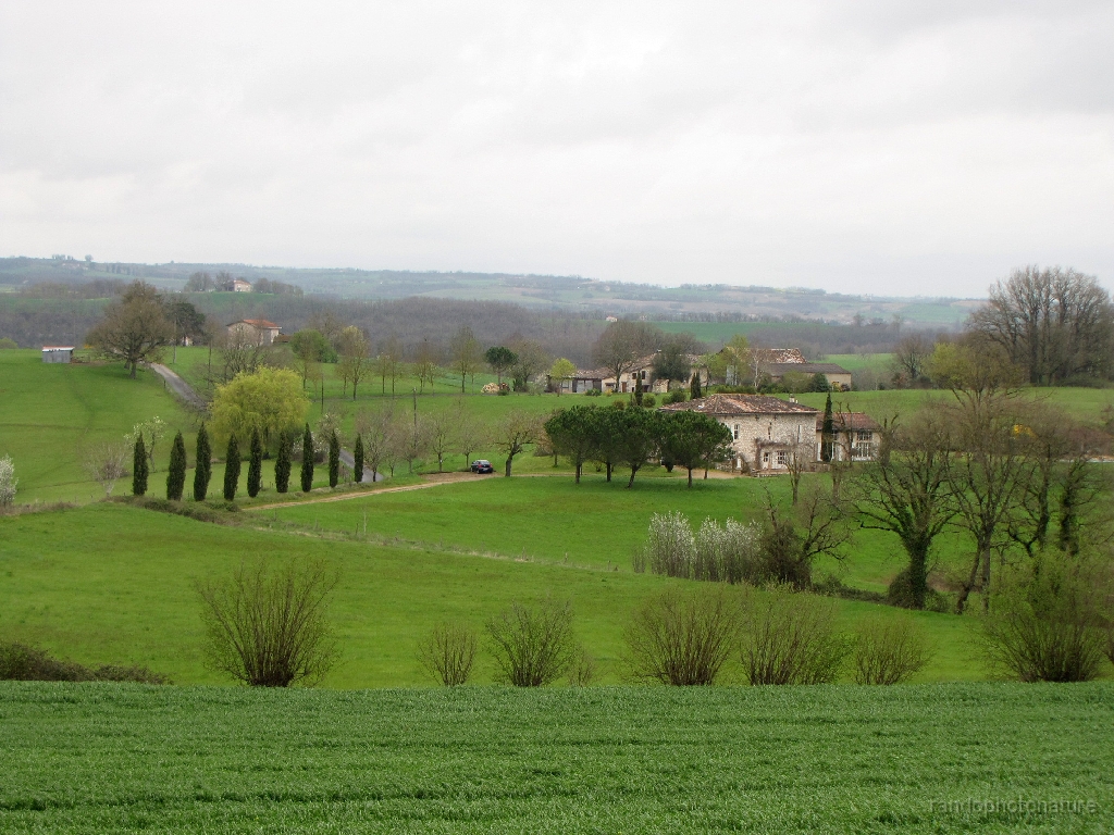2016-04-05_16h.32m.38s_00167.JPG - Un petit air de Toscane
