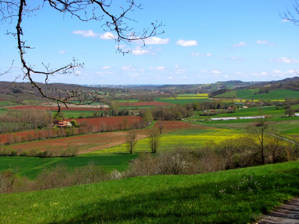 2016-04-06_13h.54m.07s_00207.JPG - Plaine de Féral et Prairie de Rouillac