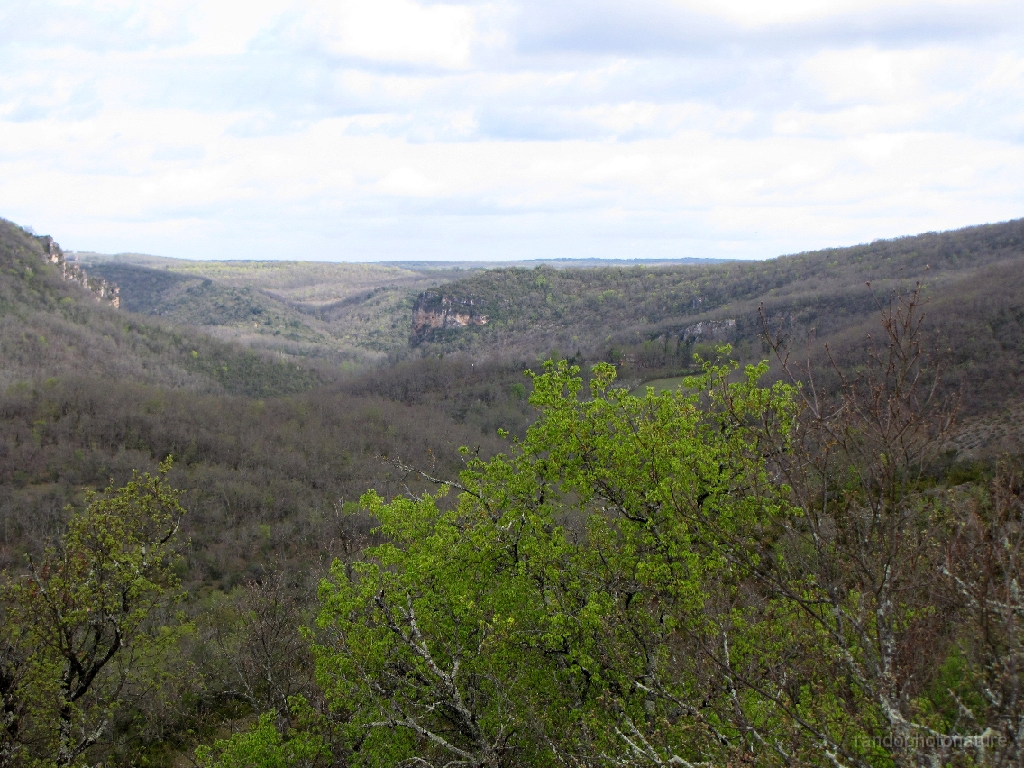 2016-04-07_11h.30m.22s_00250.JPG - Forêt de la Grésigne