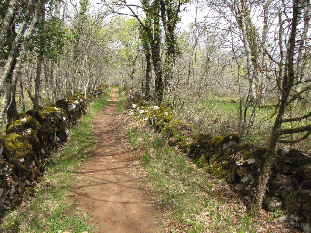 2016-04-07_15h.02m.17s_00282.JPG - Beau sentier