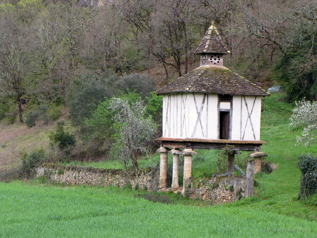 2016-04-08_08h.49m.05s_00289.JPG - Pigeonnier