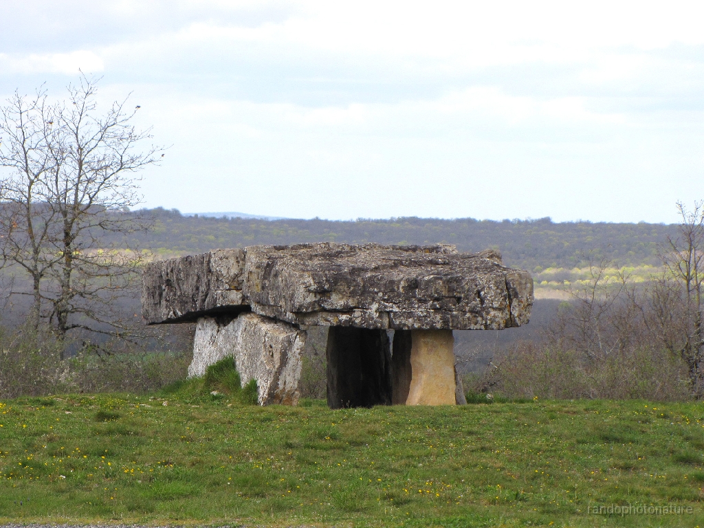 2016-04-08_14h.08m.08s_00341.JPG - Dolmen de Vaour