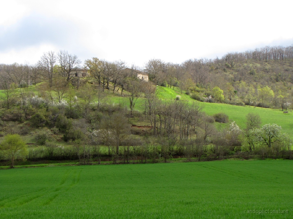 2016-04-09_11h.27m.35s_00371.JPG - Latreyne