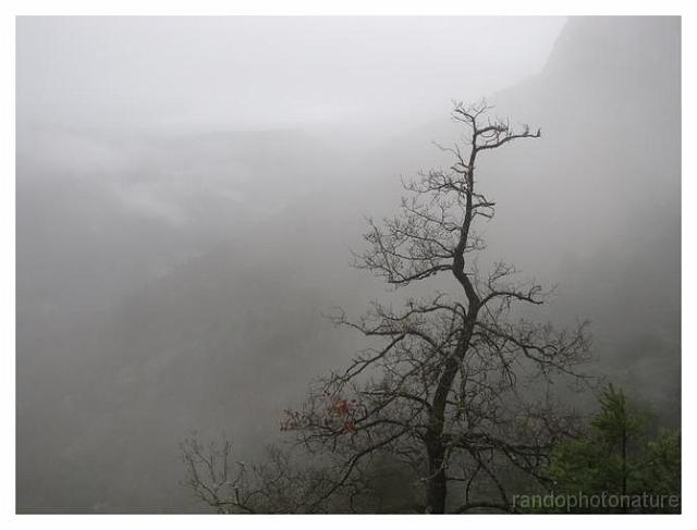 016.jpg - C'est beau malgré la pluie