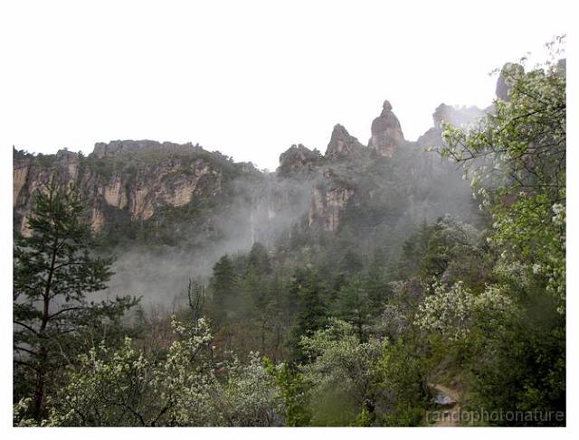 017.jpg - le Bois d'Alvignac