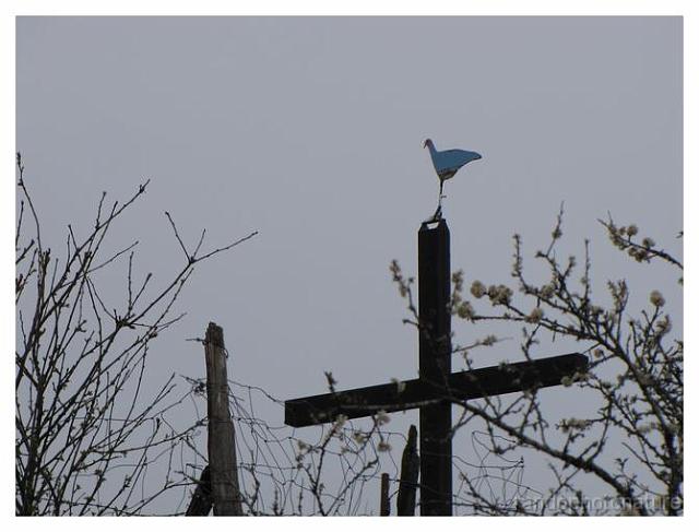 127.jpg - Crucifix original