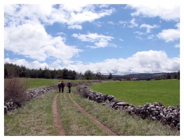 135.jpg - Le GR suit l'ancien chemin de transhumance, la draille