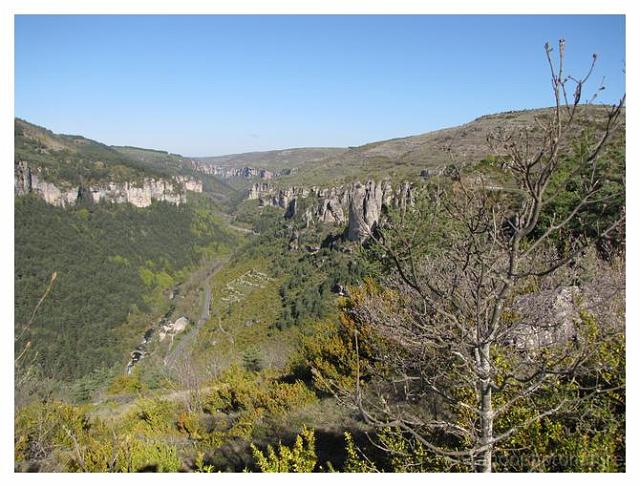 190.jpg - Montée sur le Causse et gorges de la Jonte en aval de Meyrues