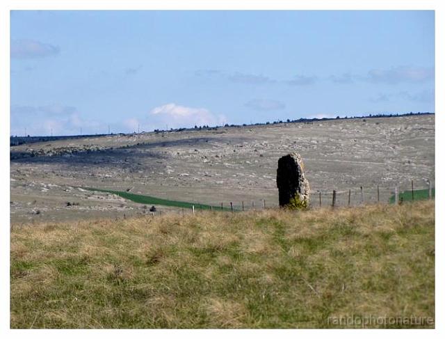 195.jpg - Serre de la Rastou et menhir